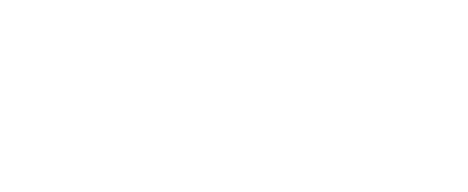NorthStar Outlined Logo_White