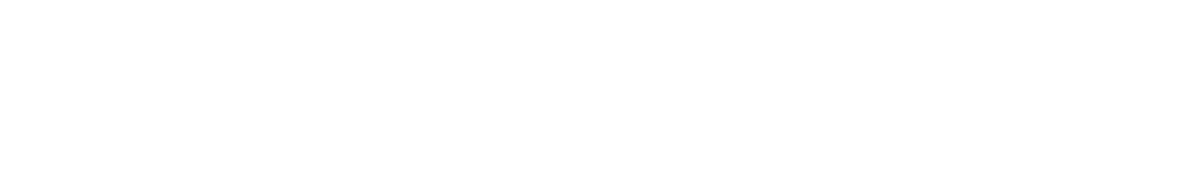 NorthStar R.N. Patient Advocate Logo_White